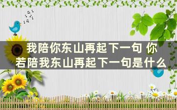 我陪你东山再起下一句 你若陪我东山再起下一句是什么